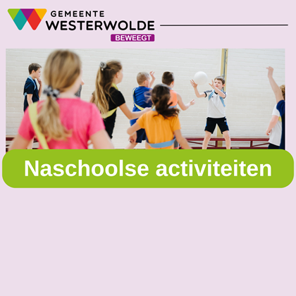 Activiteiten format website 